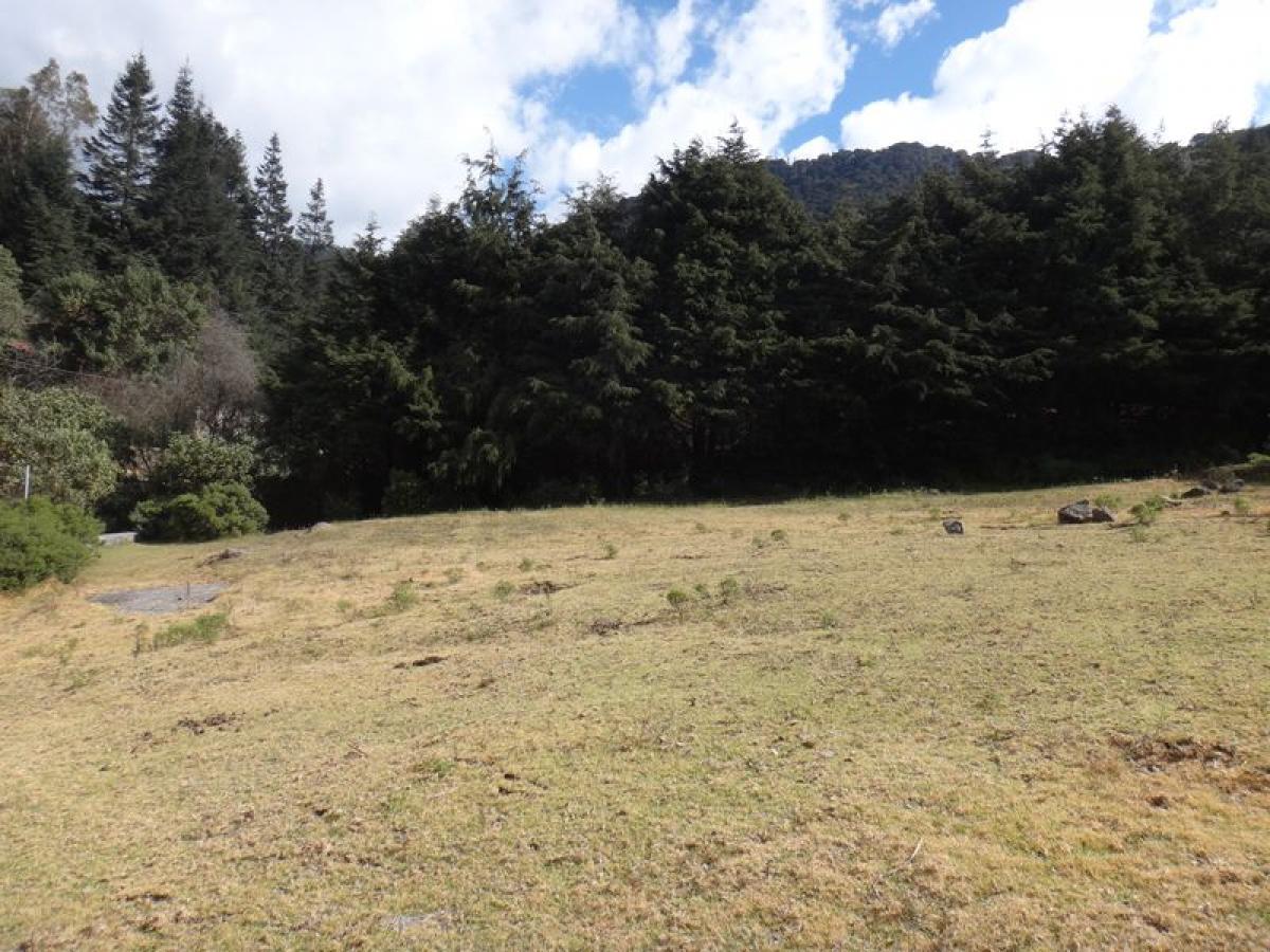 Picture of Other Commercial For Sale in Jilotzingo, Mexico, Mexico