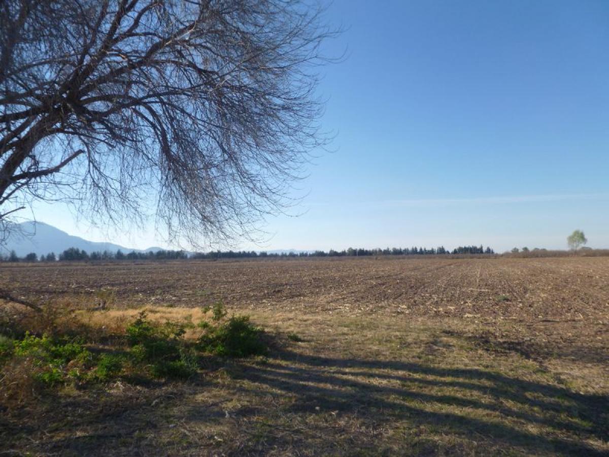 Picture of Other Commercial For Sale in Canatlan, Durango, Mexico