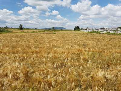 Other Commercial For Sale in Tlaxcala, Mexico