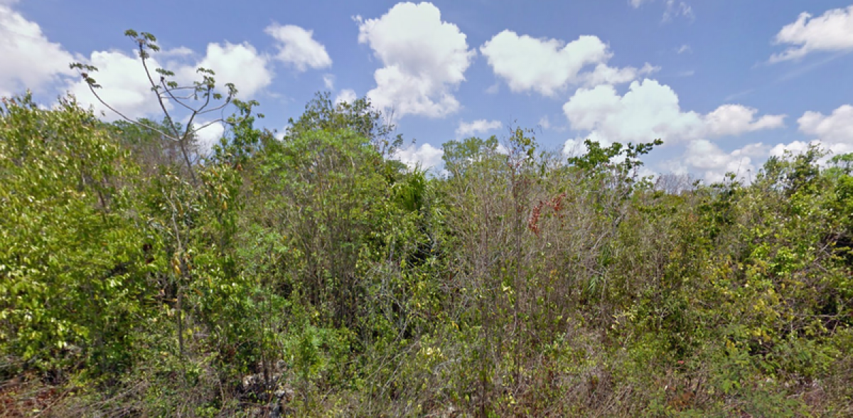 Picture of Other Commercial For Sale in Isla Mujeres, Quintana Roo, Mexico