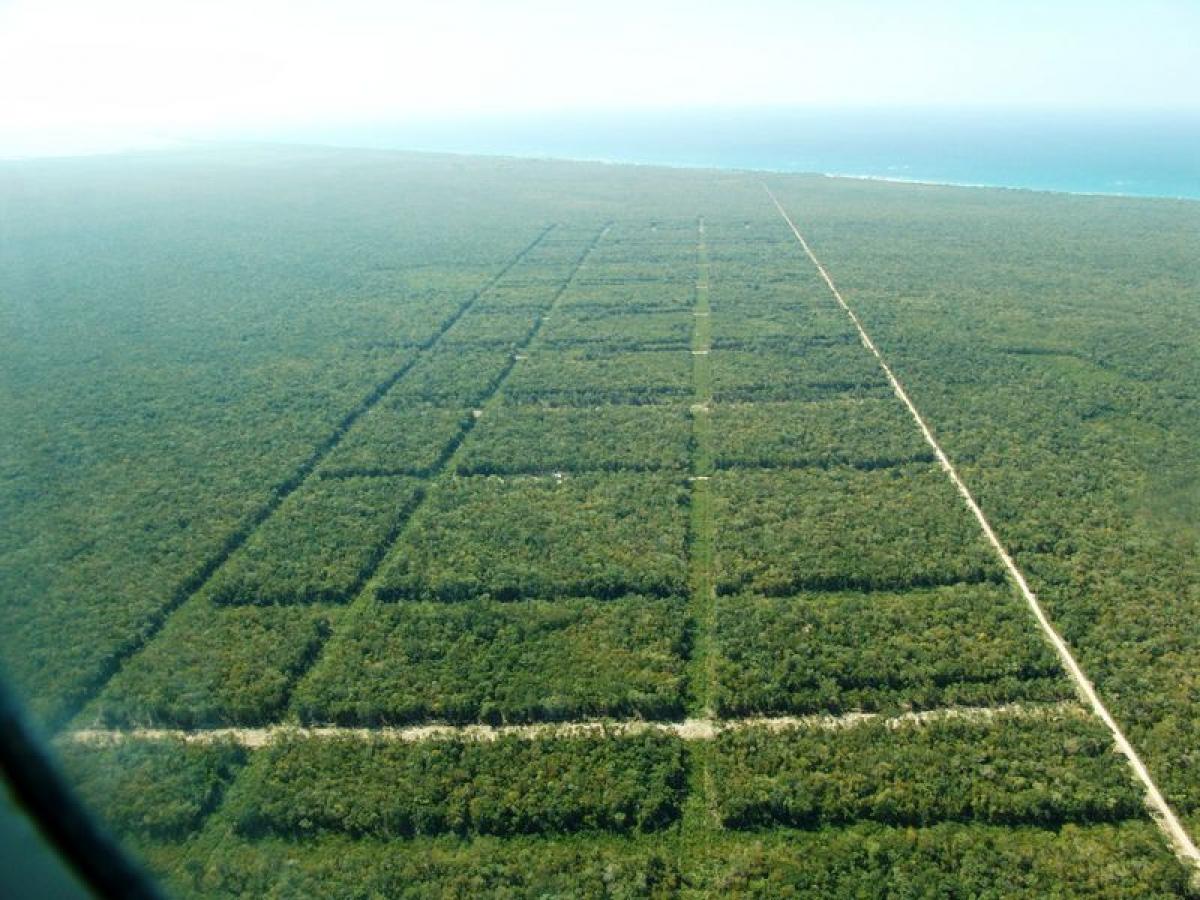 Picture of Other Commercial For Sale in Tulum, Quintana Roo, Mexico