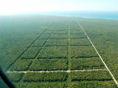 Other Commercial For Sale in Tulum, Mexico