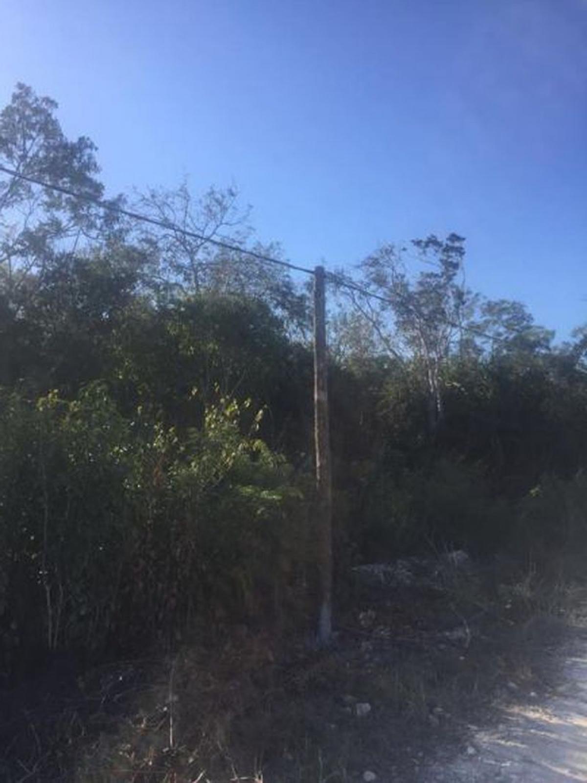 Picture of Other Commercial For Sale in Tulum, Quintana Roo, Mexico