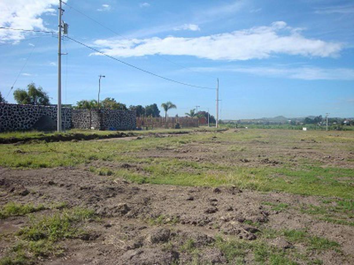 Picture of Other Commercial For Sale in Atlixco, Puebla, Mexico