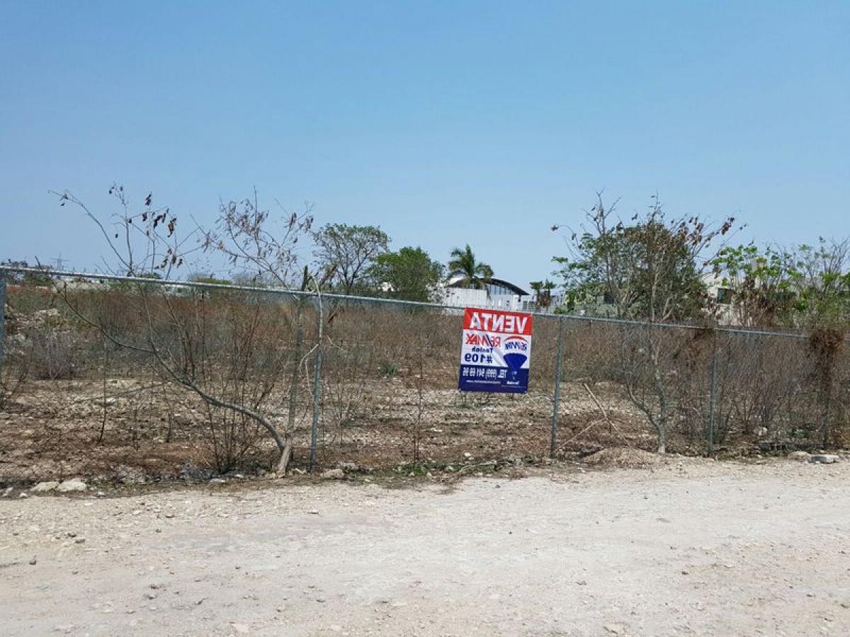 Picture of Other Commercial For Sale in Merida, Yucatan, Mexico