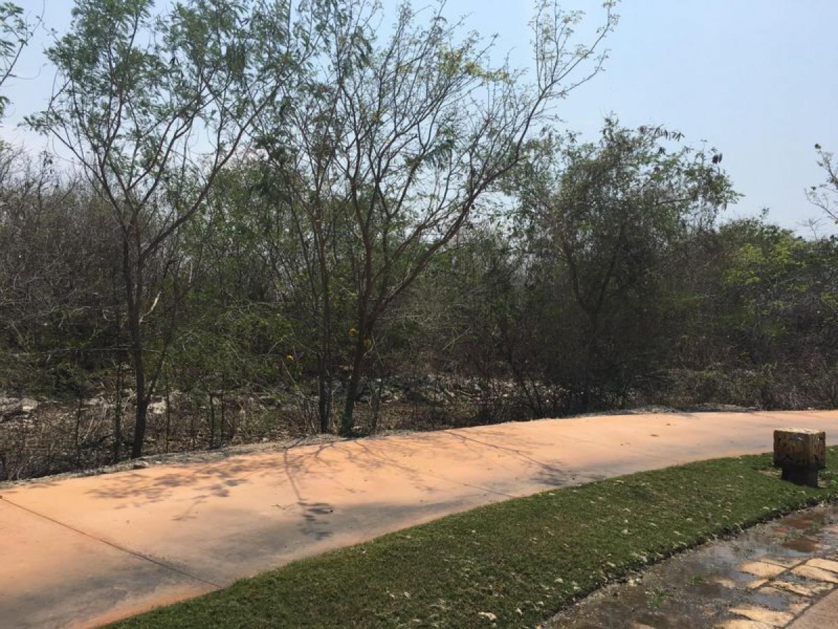 Picture of Other Commercial For Sale in Yucatan, Yucatan, Mexico