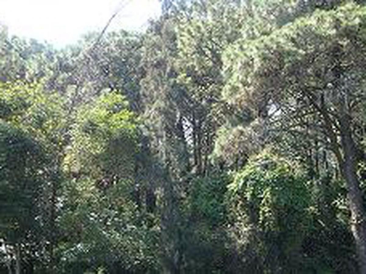 Picture of Other Commercial For Sale in Huitzilac, Morelos, Mexico