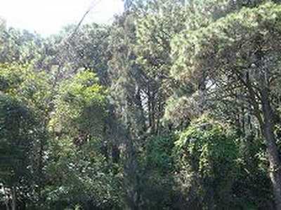 Other Commercial For Sale in Huitzilac, Mexico