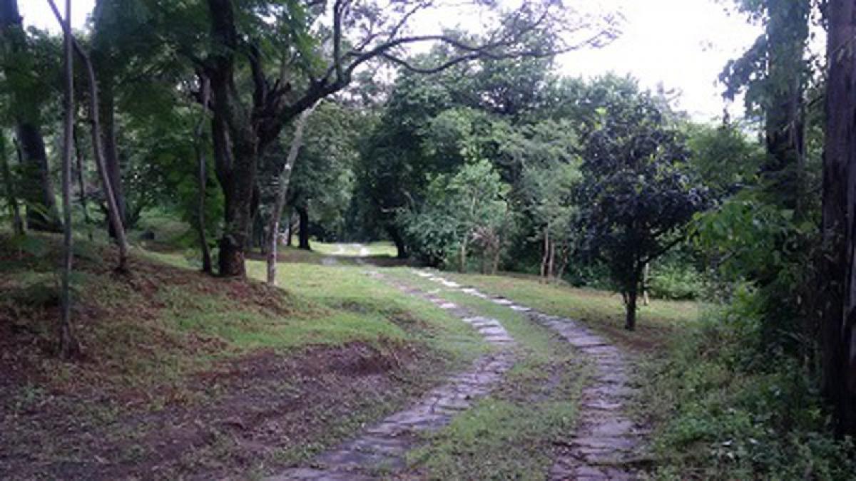 Picture of Other Commercial For Sale in Santa Isabel Cholula, Puebla, Mexico