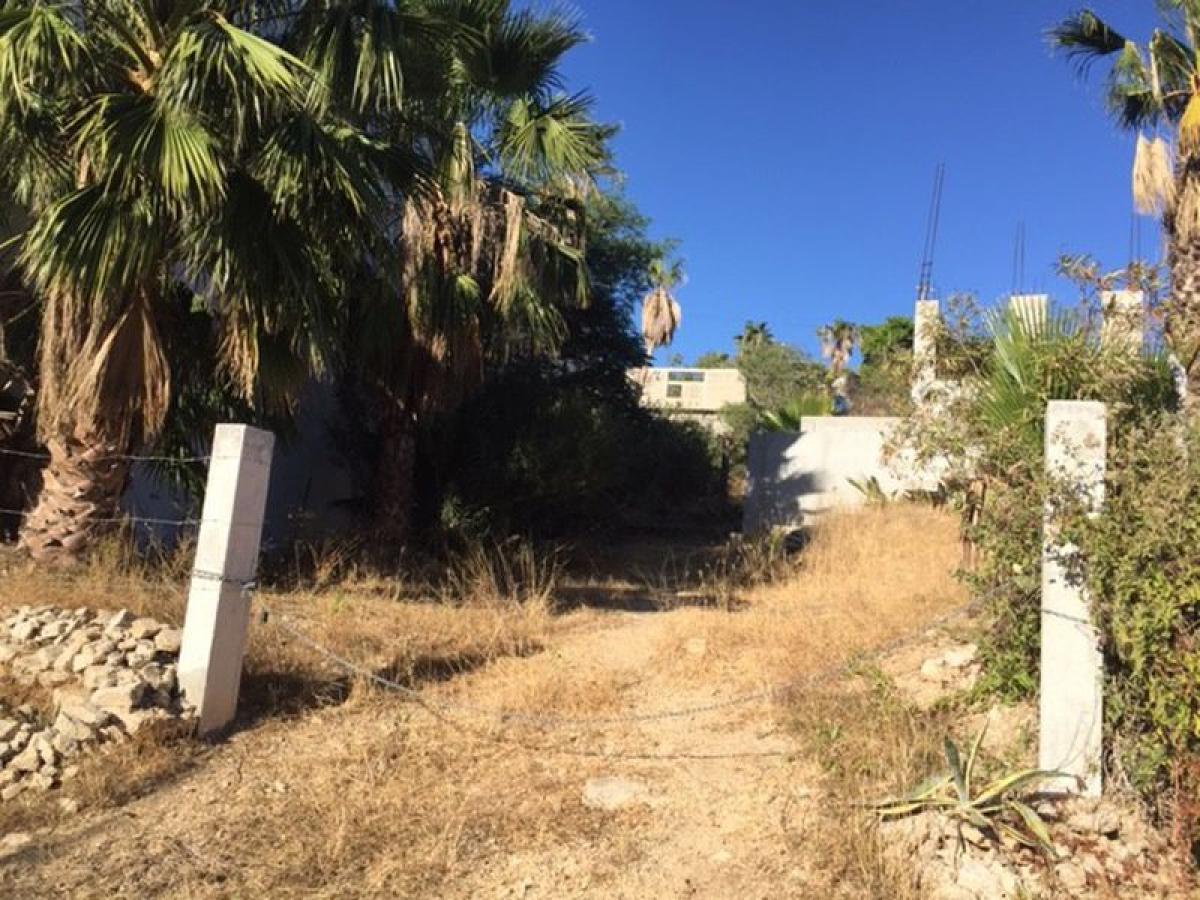 Picture of Other Commercial For Sale in Los Cabos, Baja California Sur, Mexico