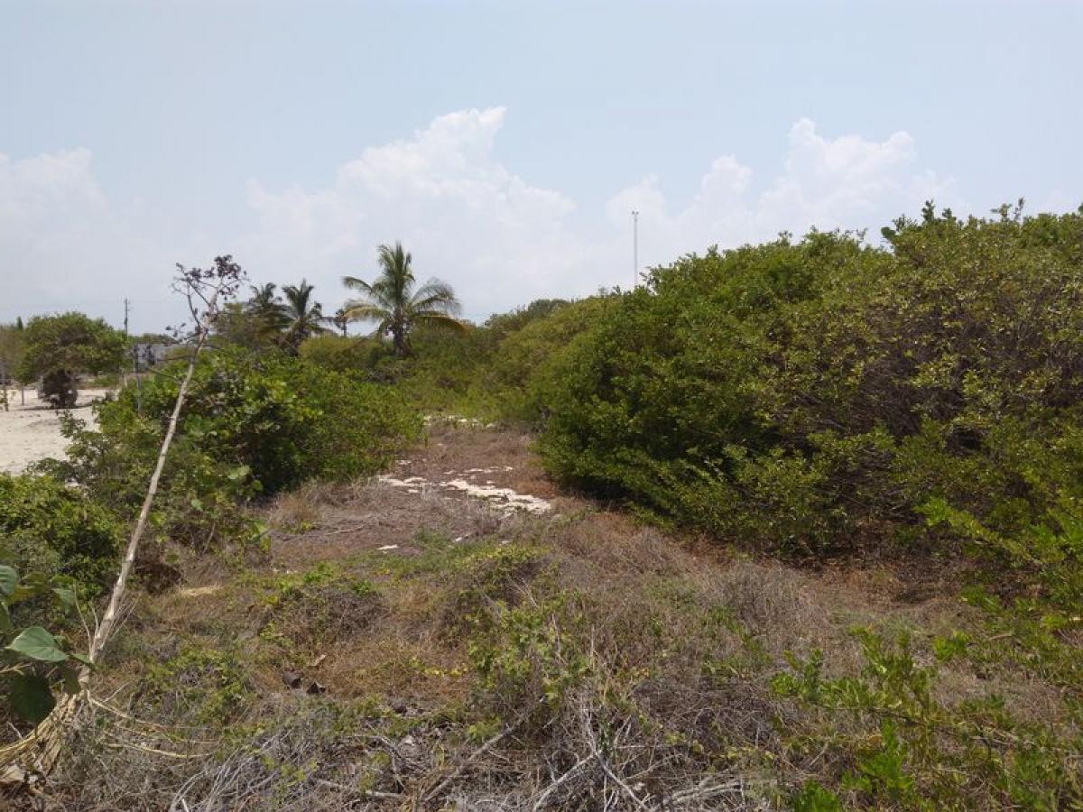 Picture of Other Commercial For Sale in Progreso, Yucatan, Mexico