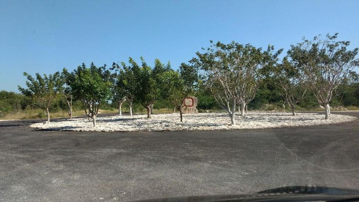 Picture of Other Commercial For Sale in Merida, Yucatan, Mexico