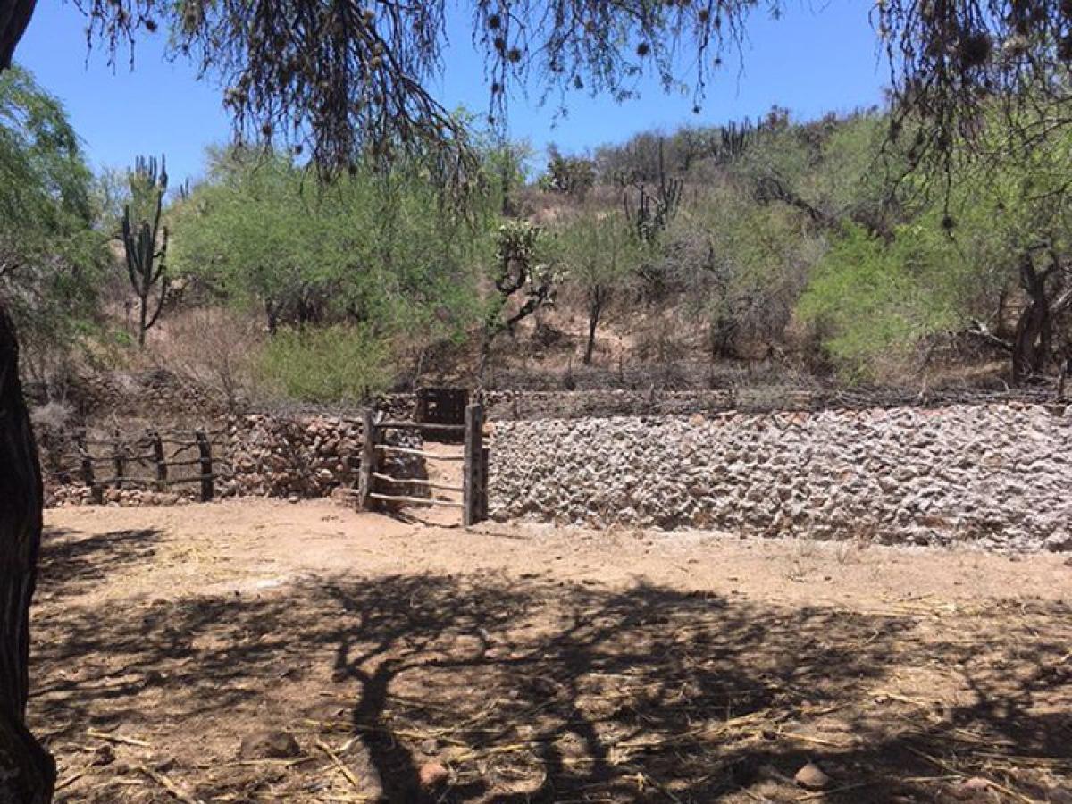 Picture of Other Commercial For Sale in Rioverde, San Luis Potosi, Mexico