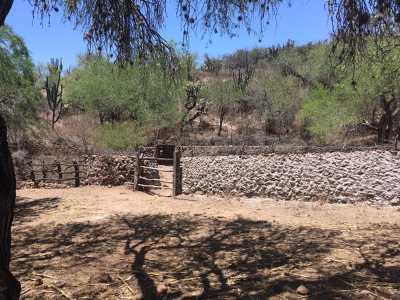 Other Commercial For Sale in Rioverde, Mexico