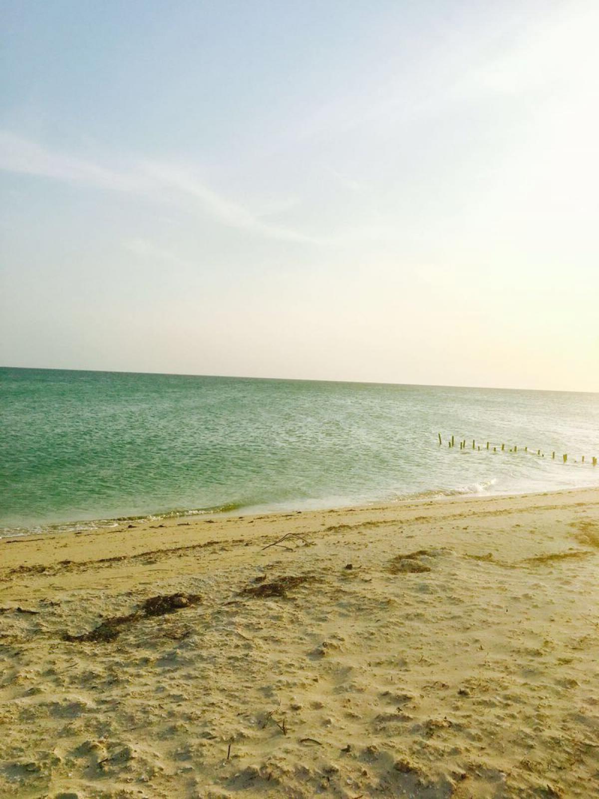 Picture of Other Commercial For Sale in Dzemul, Yucatan, Mexico