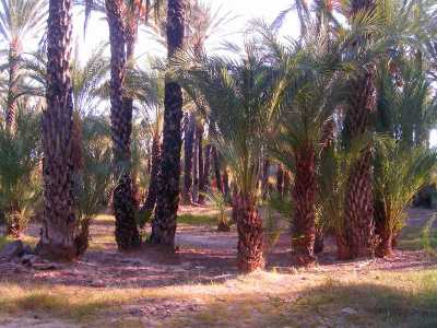 Other Commercial For Sale in Baja California Sur, Mexico