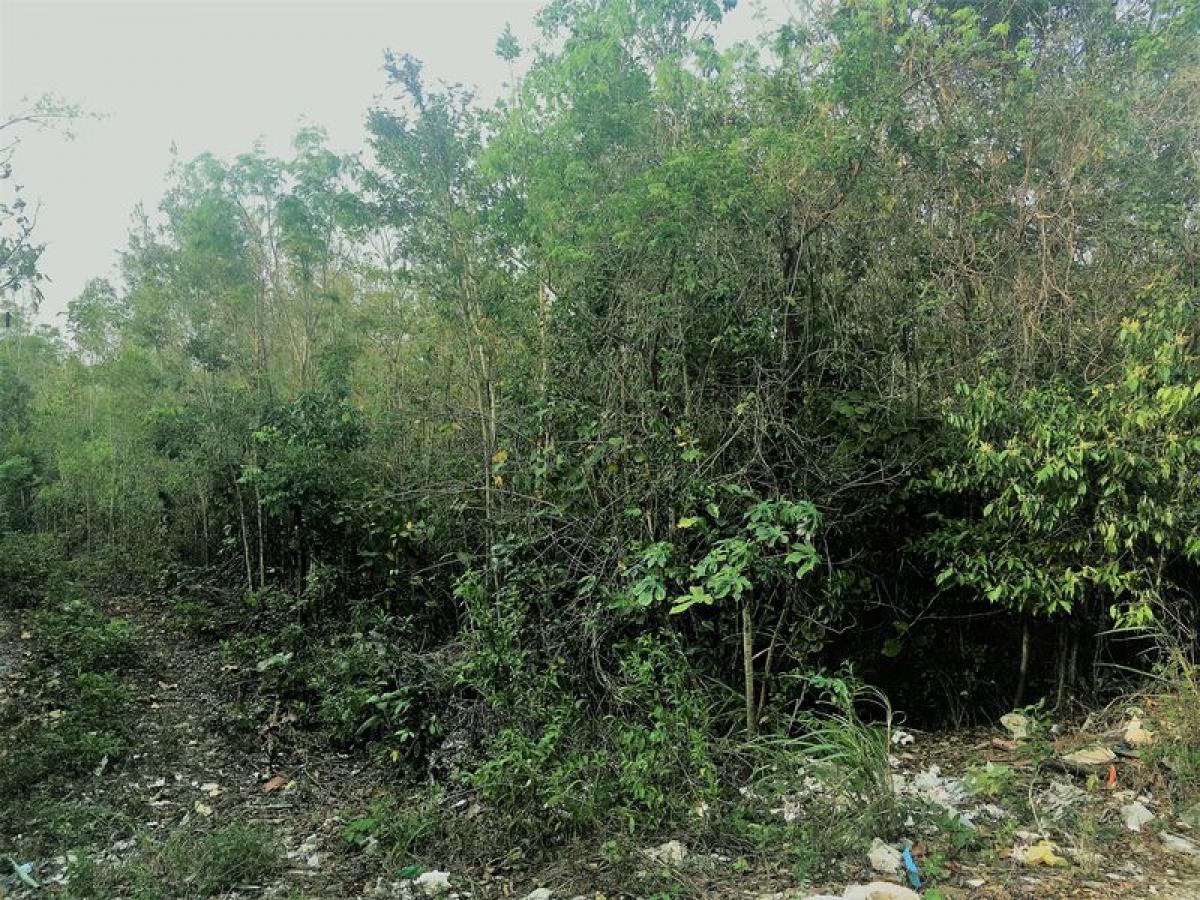 Picture of Other Commercial For Sale in Benito Juarez, Mexico City, Mexico