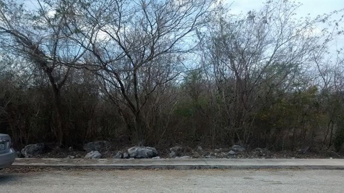 Picture of Other Commercial For Sale in Merida, Yucatan, Mexico