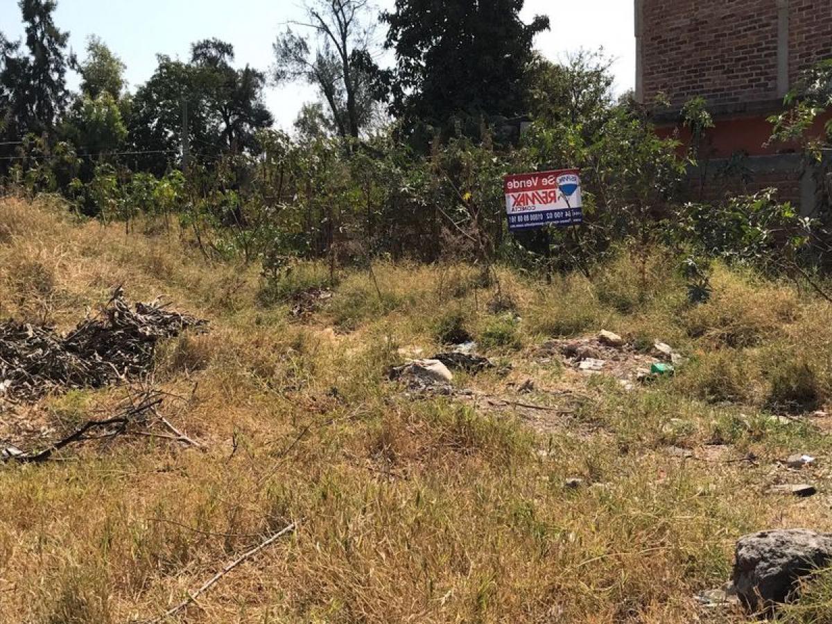 Picture of Other Commercial For Sale in Guanajuato, Guanajuato, Mexico