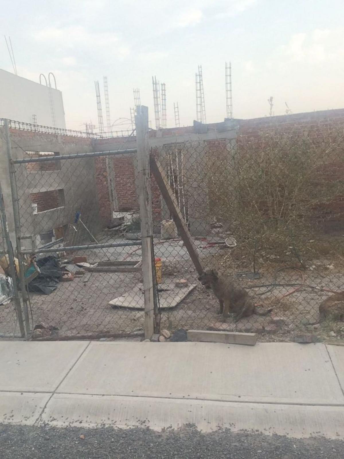 Picture of Other Commercial For Sale in Guanajuato, Guanajuato, Mexico