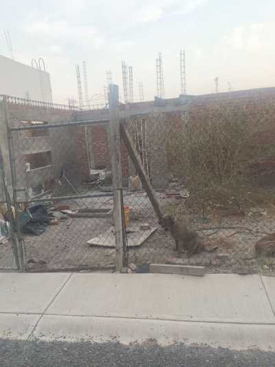 Other Commercial For Sale in Guanajuato, Mexico