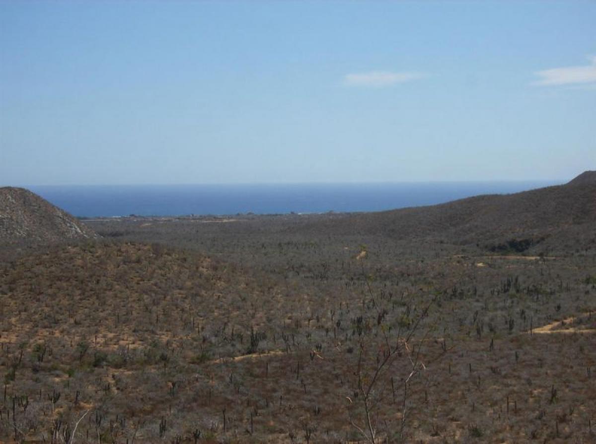 Picture of Other Commercial For Sale in La Paz, Baja California Sur, Mexico