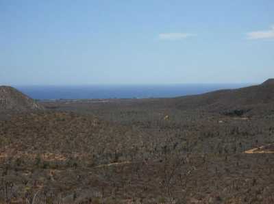 Other Commercial For Sale in La Paz, Mexico