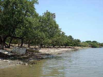 Other Commercial For Sale in Tamaulipas, Mexico