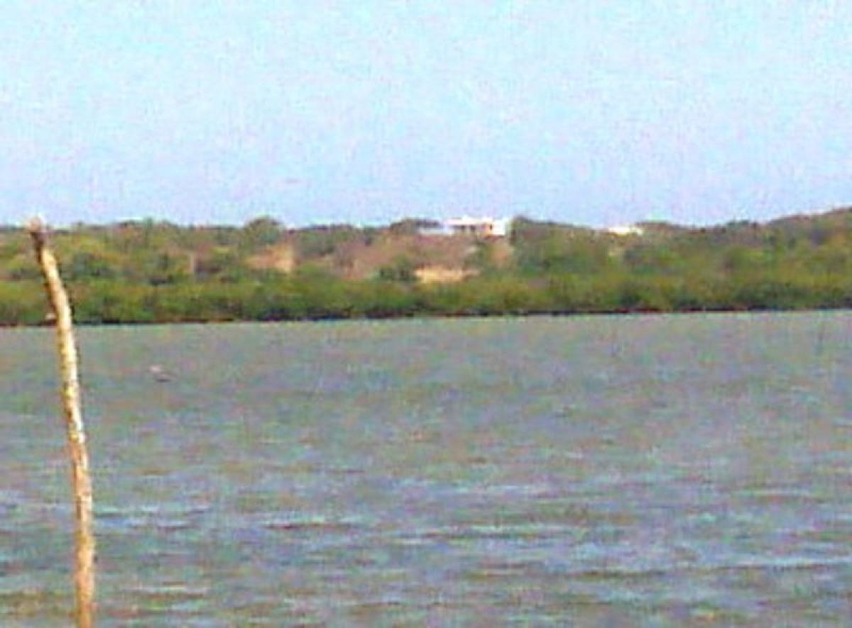 Picture of Other Commercial For Sale in Tijuana, Baja California, Mexico