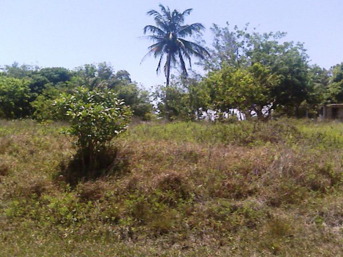 Picture of Other Commercial For Sale in Tijuana, Baja California, Mexico