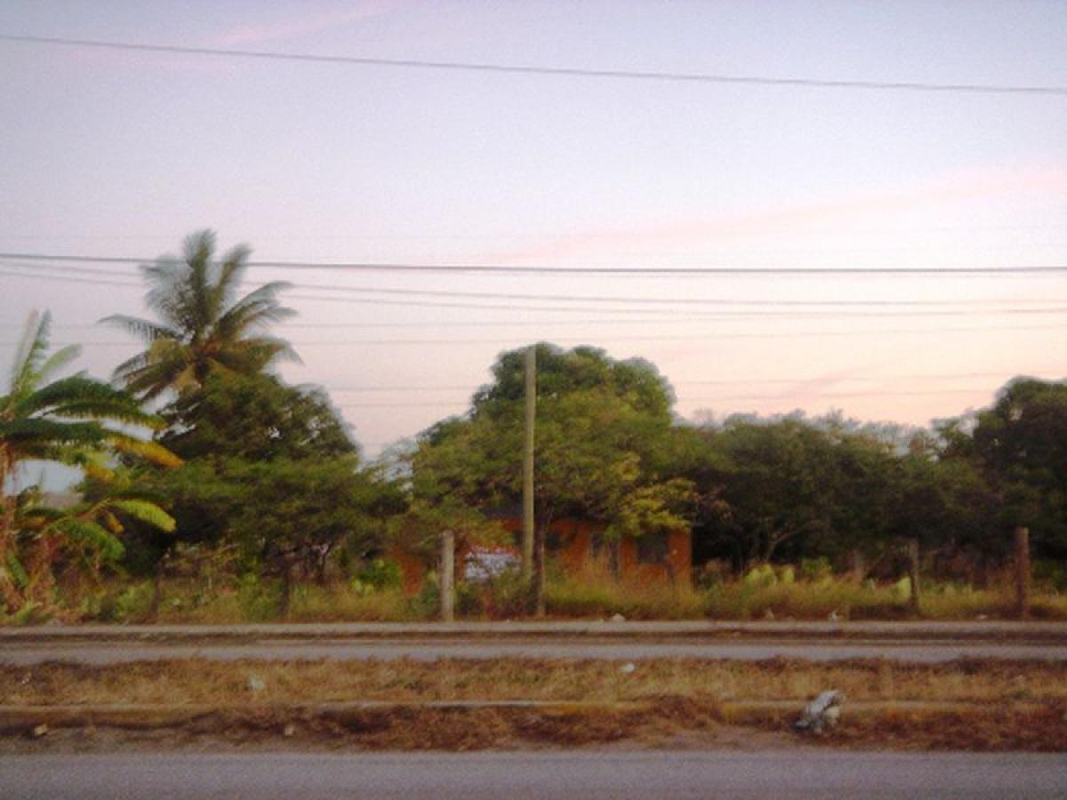 Picture of Other Commercial For Sale in Tijuana, Baja California, Mexico