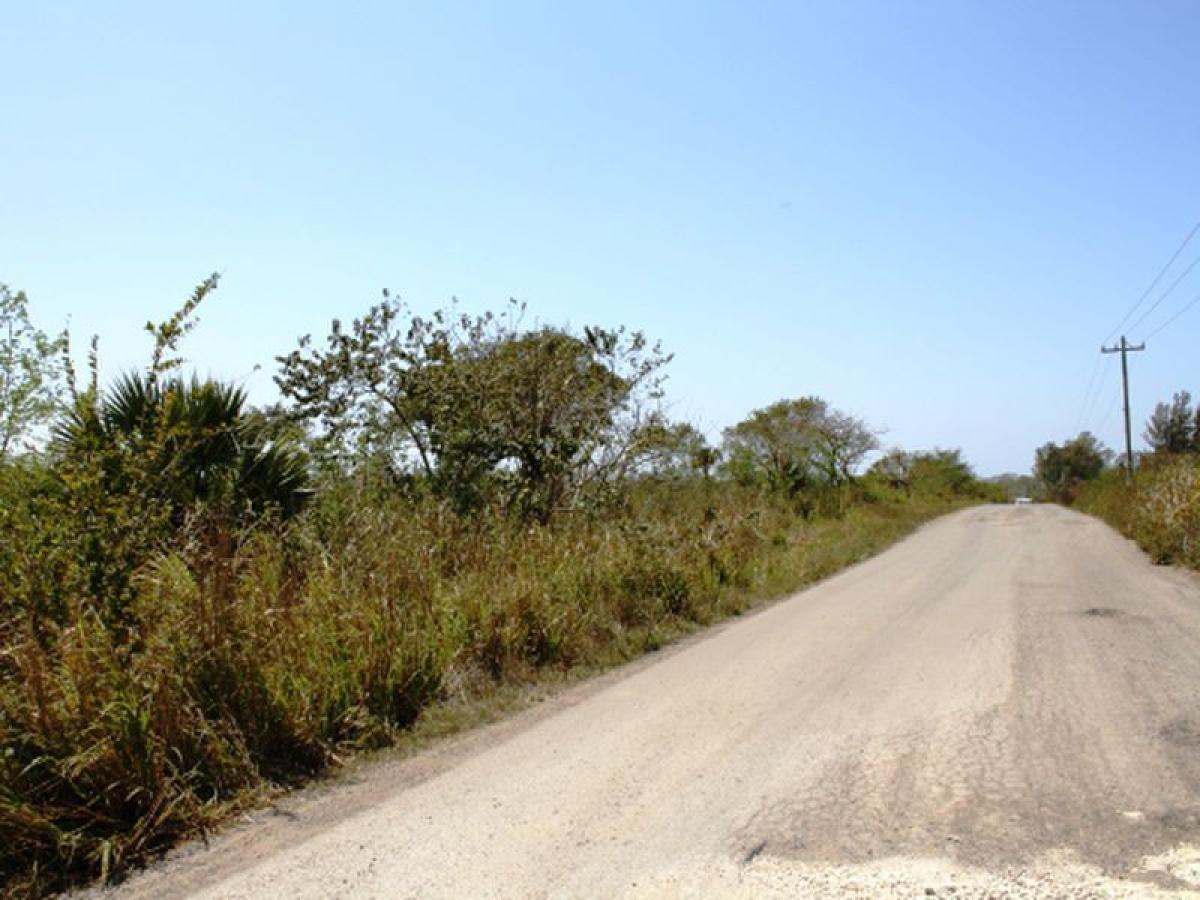 Picture of Other Commercial For Sale in Tijuana, Baja California, Mexico
