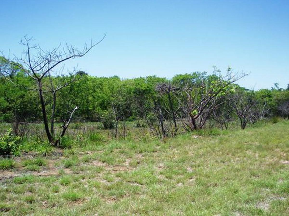 Picture of Other Commercial For Sale in Tijuana, Baja California, Mexico