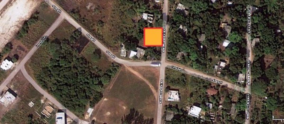 Picture of Other Commercial For Sale in Altamira, Tamaulipas, Mexico