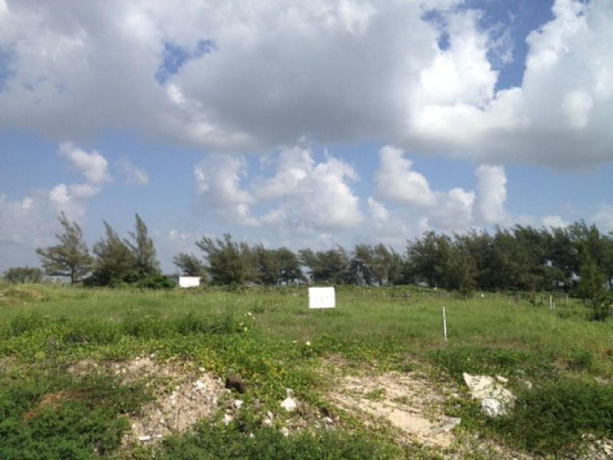 Picture of Other Commercial For Sale in Ciudad Madero, Tamaulipas, Mexico