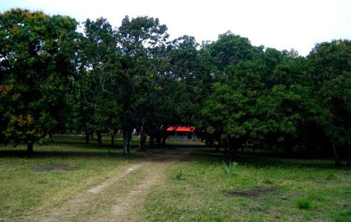 Picture of Other Commercial For Sale in Soto La Marina, Tamaulipas, Mexico