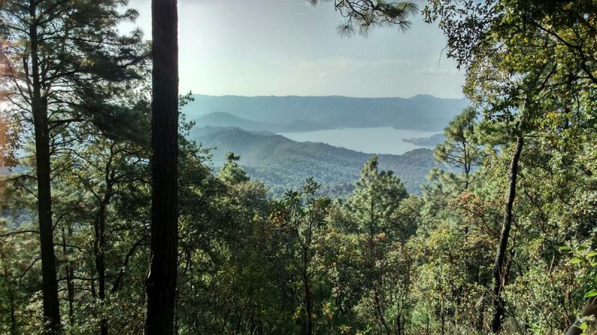 Picture of Other Commercial For Sale in Valle De Bravo, Mexico, Mexico