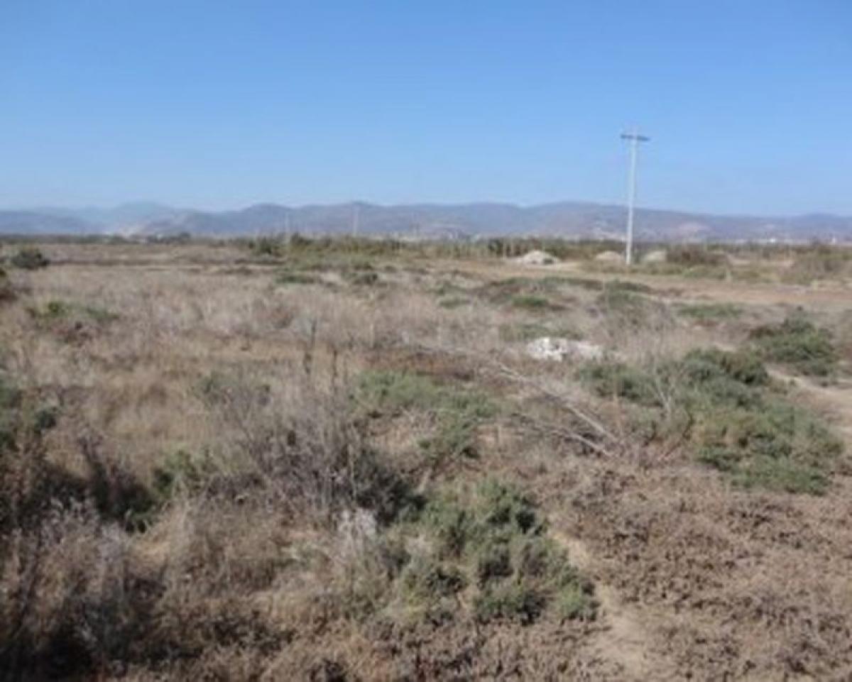 Picture of Other Commercial For Sale in Ensenada, Baja California, Mexico