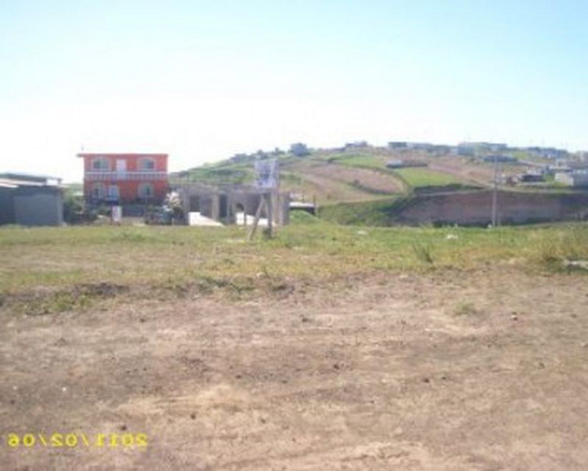 Picture of Other Commercial For Sale in Tijuana, Baja California, Mexico