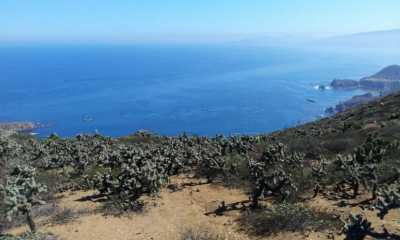 Other Commercial For Sale in Ensenada, Mexico