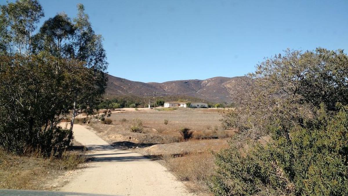 Picture of Other Commercial For Sale in Ensenada, Baja California, Mexico