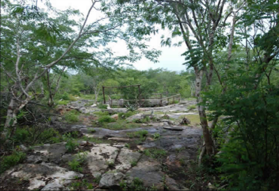 Residential Land For Sale in 