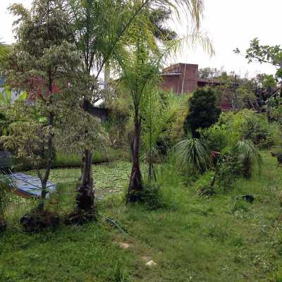 Other Commercial For Sale in Morelos, Mexico