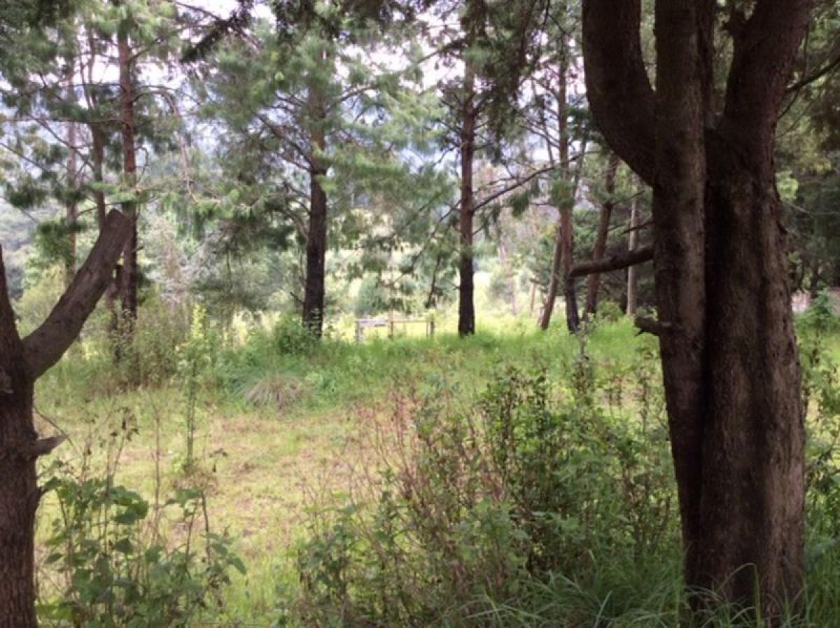 Picture of Other Commercial For Sale in Huixquilucan, Mexico, Mexico