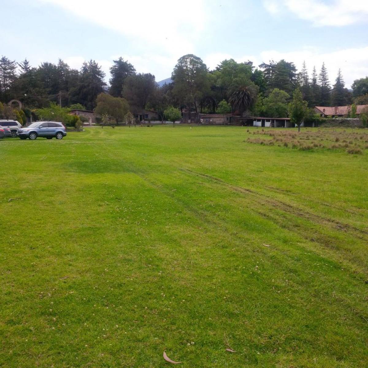 Picture of Other Commercial For Sale in Hidalgo, Hidalgo, Mexico