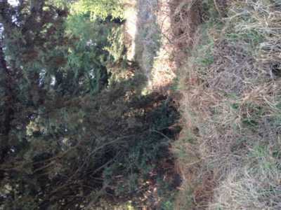 Other Commercial For Sale in Ocoyoacac, Mexico