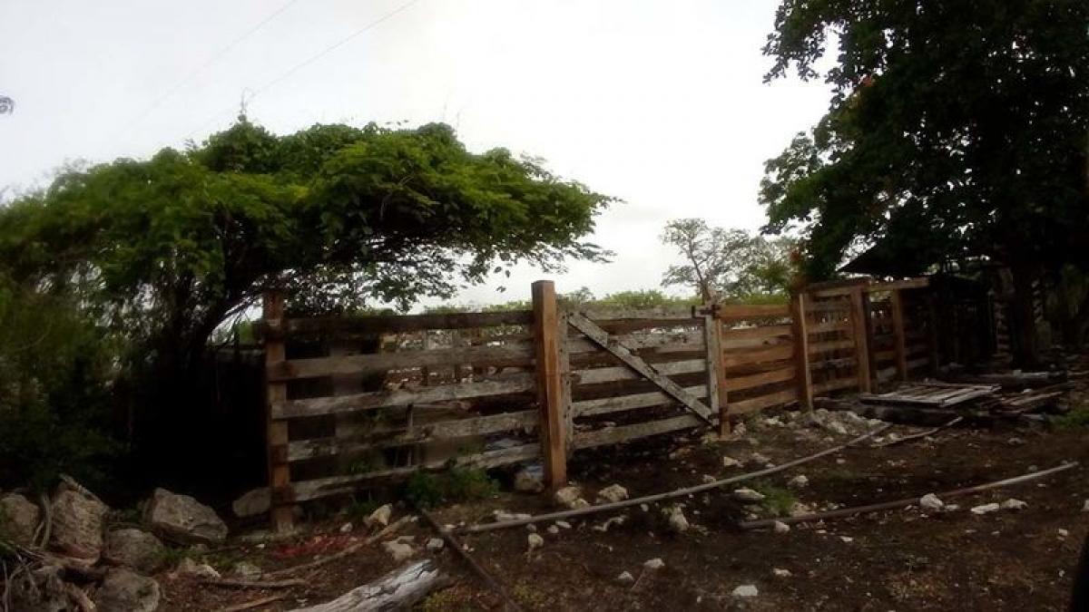 Picture of Home For Sale in Sucila, Yucatan, Mexico