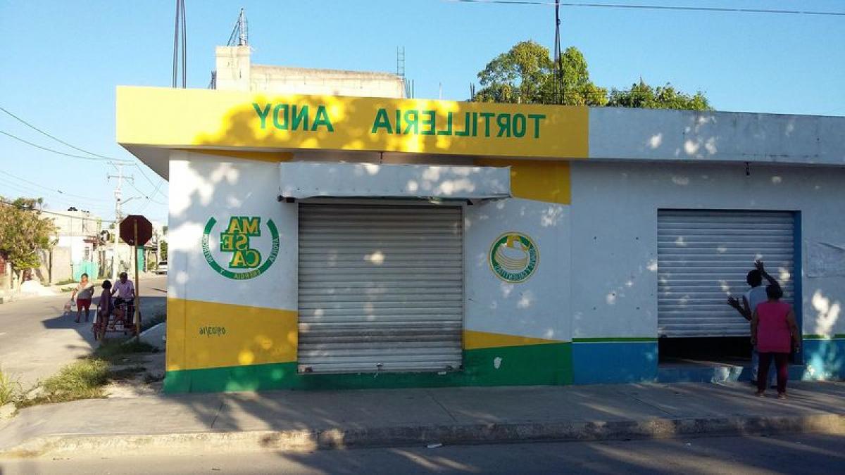 Picture of Apartment Building For Sale in Quintana Roo, Quintana Roo, Mexico