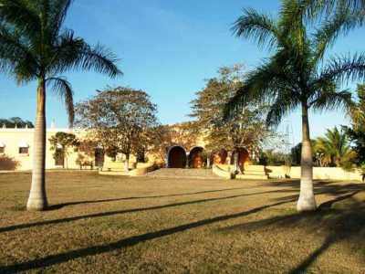 Home For Sale in Temax, Mexico