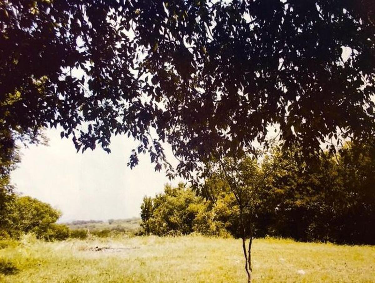 Picture of Development Site For Sale in Montemorelos, Nuevo Leon, Mexico